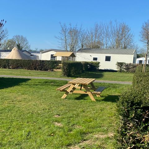 Pitch - Privilege Garden pitch – pitch – with electricity and table / max. 5 people