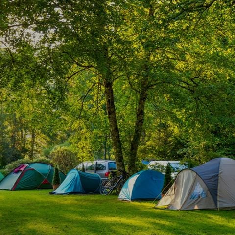 PIAZZOLA - Prezzo fisso per piazzola per 1 o 2 persone + veicolo + elettricità