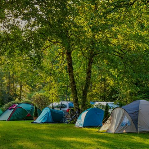 PLOT - Set price for pitch for 1 or 2 people + vehicle + electricity