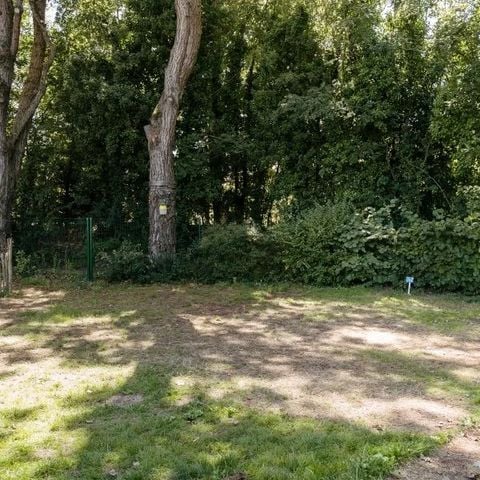 STAANPLAATS - Comfortpakket (1 tent, caravan of camper / 1 auto / elektriciteit)