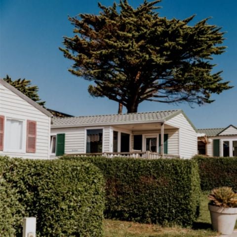 Mobile home 4 persons - Essential