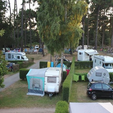Kampeerplaats - 80-100m² met 6A elektriciteit