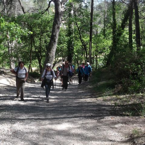 Camping Le Devancon Camping Le Devancon - Camping Bouches-du-Rhone - Image N°26