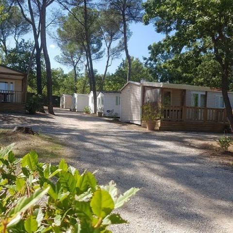 Mobile home 4 persons - Grand Confort Sun Roller 1st generation 4 pers