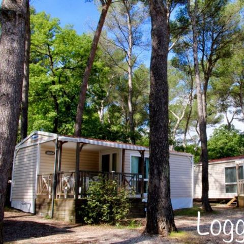 Mobile home 4 persons - Maxi Confort IRM Loggia 4 pers 2Ch - CLIM