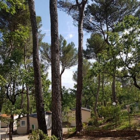 BUNGALOW 5 personnes - Confort IRM Domino 5 pers 2 Ch