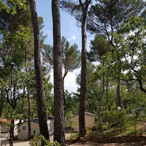 Mobile home 5 persons - Comfort IRM Domino 5 pers 2 Ch