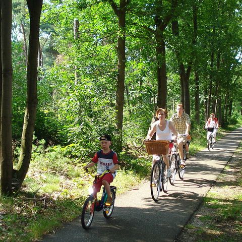 Camping Le Devancon Camping Le Devancon - Camping Bouches-du-Rhone - Image N°23