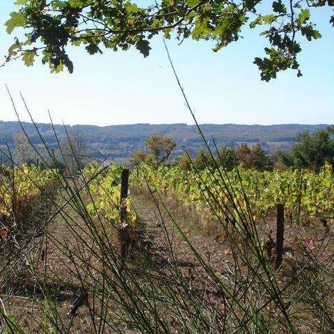 Stellplatz - Pauschale 2 pers Stellplatz + 1 Fahrzeug ohne Strom 1/2 pers