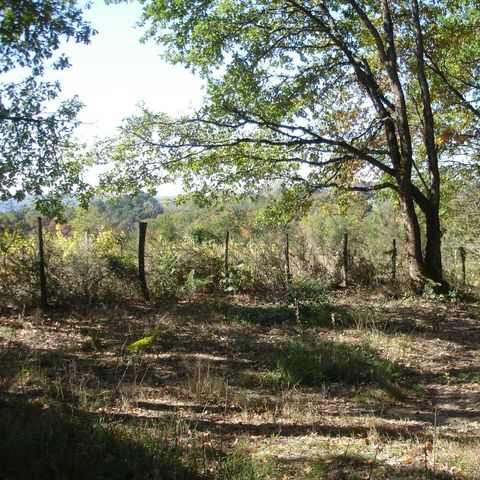 Stellplatz - Pauschale 2 pers Stellplatz + 1 Fahrzeug ohne Strom 1/2 pers