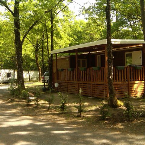 Chalet 5 Personen - Cottage Quiétude 40m2 2 Zi. mit überdachter Terrasse und TV