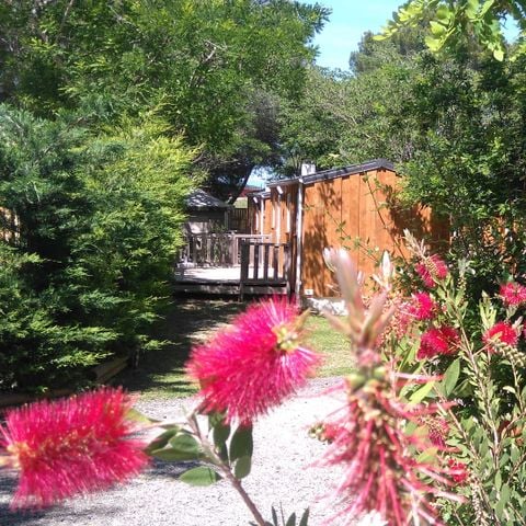 Mobile home 4 persons - Lodge Standard 4/6 p