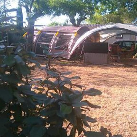 STAANPLAATS - Kampeerplaats 2p + 1 auto + tent of caravan + elektriciteit