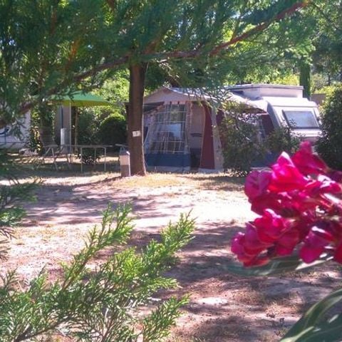 EMPLACEMENT - Emplacement camping 2p + 1 voiture + tente ou caravane + électricité