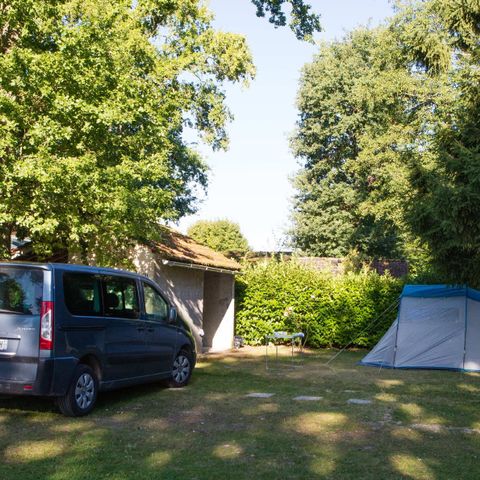 Kampeerplaats - Castel Premium standplaats: 180m² met 16A + Castel Premium uitrusting