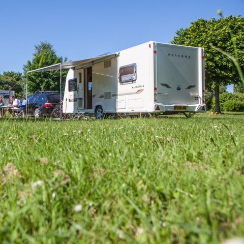 Kampeerplaats - Castel Premium standplaats: 180m² met 16A + Castel Premium uitrusting