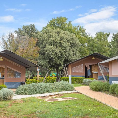TENTE TOILE ET BOIS 6 personnes - Tente Safari Lodge (6P)