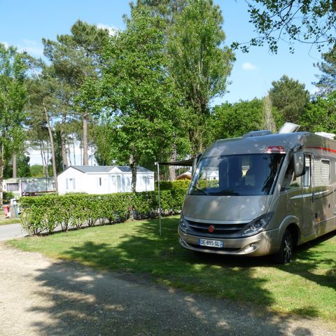 Pitch - Package: PREMIUM pitch (wooden structure 3.76m2 with kitchenette, top fridge and private bathroom)