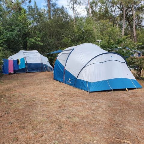 Stellplatz - Pauschale: Stellplatz PREMIUM (Holzstruktur 3,76m2 mit Kochecke, Top-Kühlschrank und eigenem Bad)