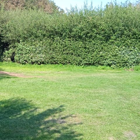 EMPLACEMENT - Emplacement avec voiture