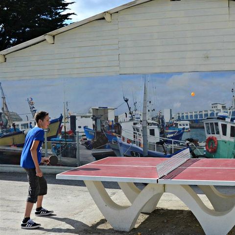 Camping Les 3 Chênes Camping Les 3 Chênes - Camping Loire-Atlantique - Image N°9