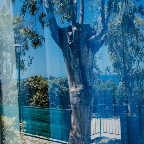 MOBILE HOME 5 people - With sea view