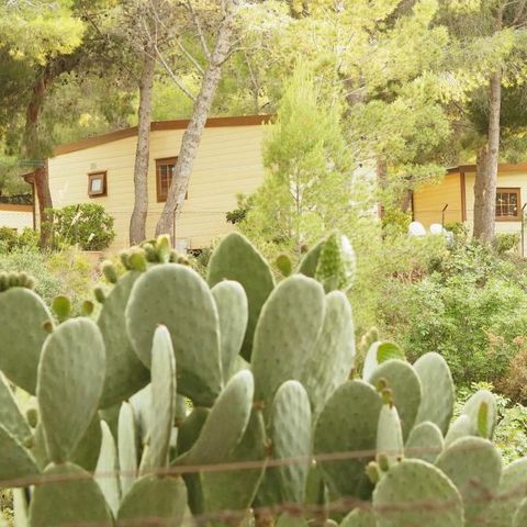 BUNGALOW 5 personnes - LARGE