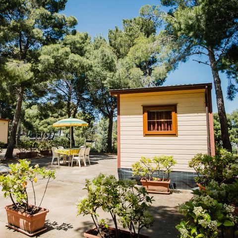 Mobile home 5 persons - LARGE