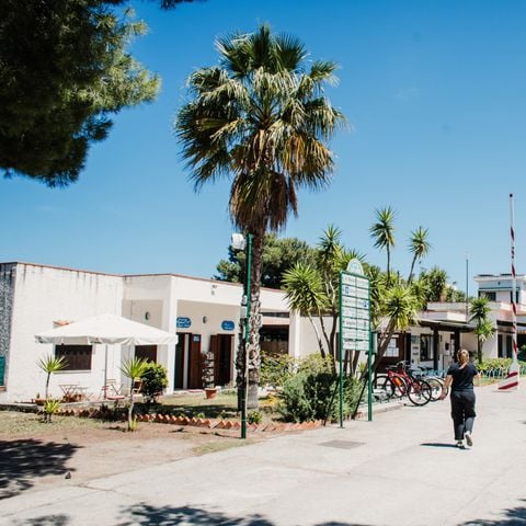 Camping Rais Gerbi - Camping Palerme - Image N°3