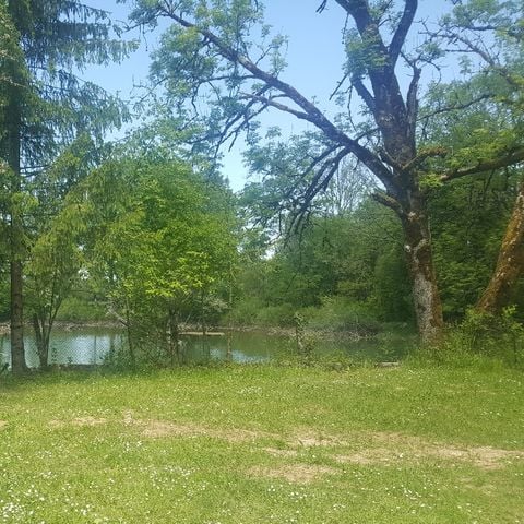 PIAZZOLA - Comfort Plus