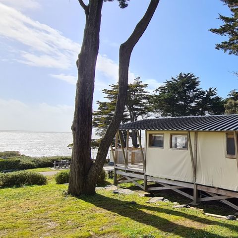 Chalet 5 Personen - Chalet auf Stelzen MEDIENBLICK 32m² + Terrasse 10m²