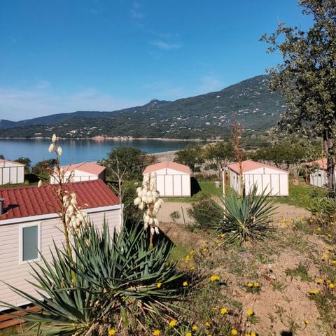 CHALET 5 persone - Gitotel STANDART - Mercoledì