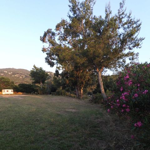 Stellplatz - Campingplatz