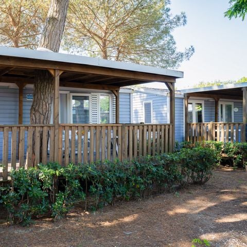 ALBERGUE 4 personas - Lodge Comfort Dog