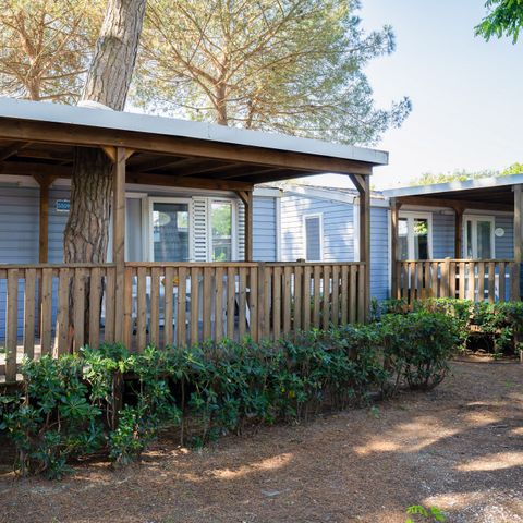 Lodge 4 personen - Lodge Comfort Hond