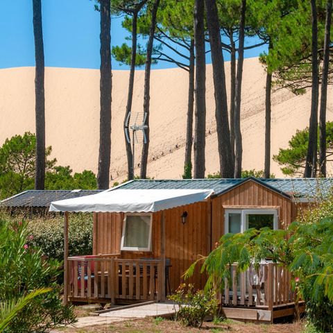 Camping La Forêt du Pilat Camping La Forêt du Pilat - Camping Gironde - Image N°34