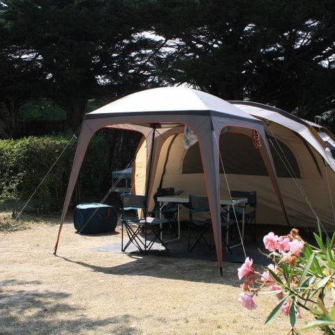 Kampeerplaats - Comfort pakket (1 tent, caravan of camper / 1 auto / 10A elektriciteit) 2 pers.