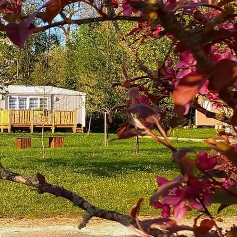Mobilhome 4 personnes - Lodge Cerisier - 2 chambres