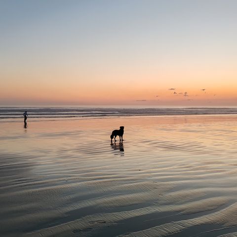 Camping Les Peupliers - Camping Finistère - Image N°5