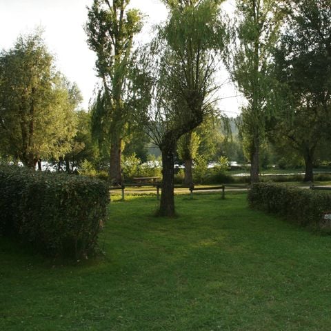 PARCELA - Coche + tienda