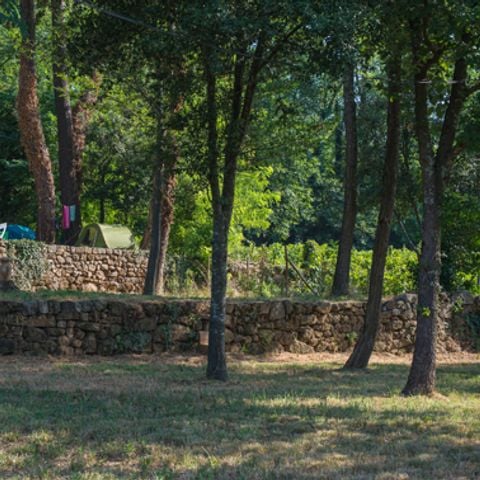 STAANPLAATS - Premium tent