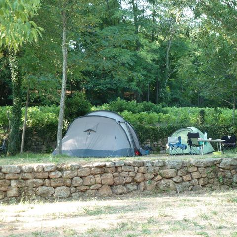 PARCELA - Carpa Premium