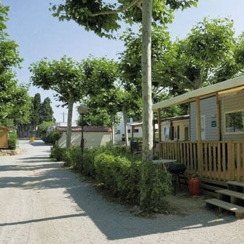 Mobilheim 6 Personen - Mobilheim | Comfort | 3 Zi. | 6 Pers. | Erhöhte Terrasse | Clim.