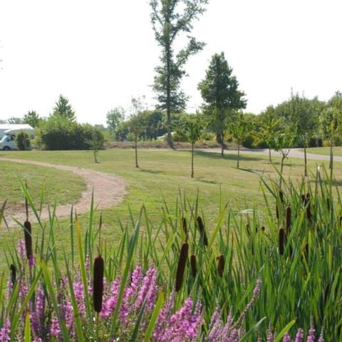Kampeerplaats - Comfortpakket (1 tent, caravan of camper / 1 auto / elektriciteit)