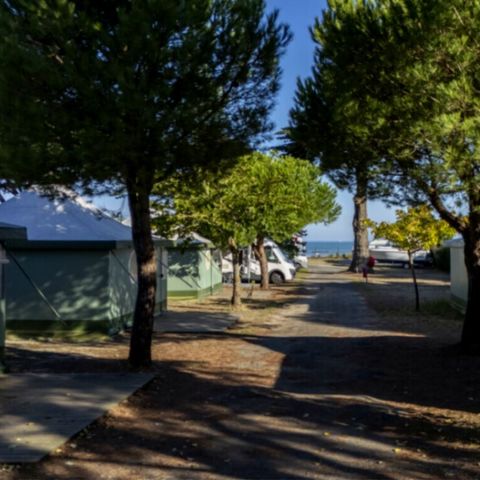 BUNGALOW IN TELA 5 persone - Bungalow in tela con 2 camere da letto 5 persone Sanitarizzato