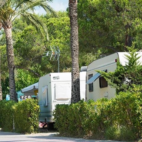 PLOT - SITE (car + tent/caravan + 5A electricity)