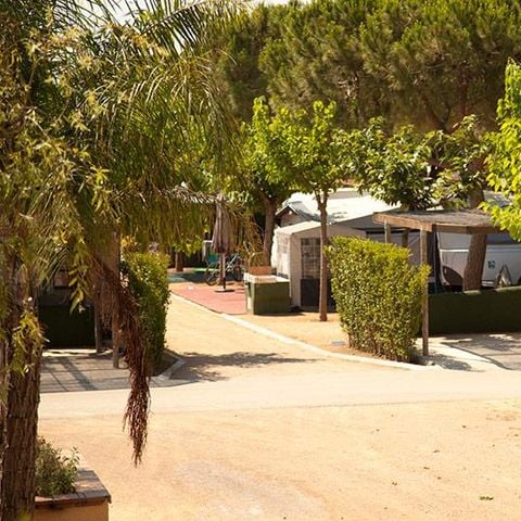 PIAZZOLA - SITO (auto + tenda/roulotte + elettricità 5A)