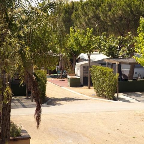 Pitch - SITE (car + tent/caravan + 5A electricity + water) 1/6 pers