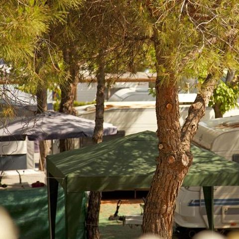 Pitch - SPACE PLUS (car + tent/caravan + 5A electricity + water + parking) 1/6 pers