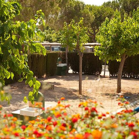 Pitch - SPACE PLUS (car + tent/caravan + 5A electricity + water + parking) 1/6 pers